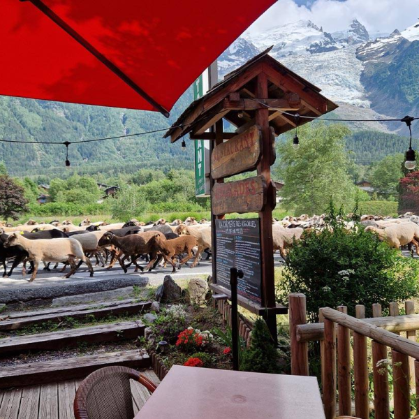 Le restaurant - La Crèmerie des Aiguilles - Chamonix - Restaurant savoyard Chamonix
